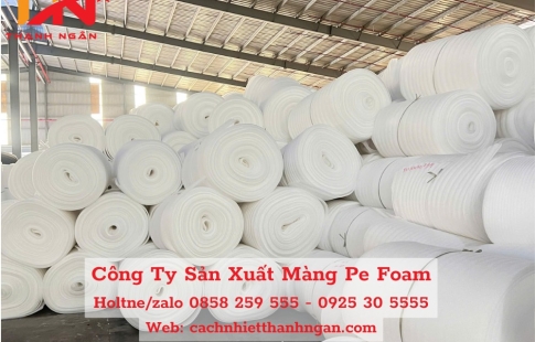 Mút Xốp Pe Foam Lót Trái Cây Giá Rẻ Tại Biên Hòa