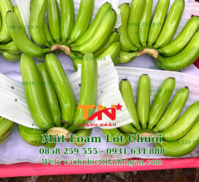 Màng Xốp Foam Lót Chuối Tại Định Quán, Đồng Nai