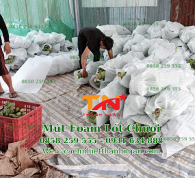 Cuộn Xốp Foam Quấn Chuối Giá Rẻ Tại Đồng Nai