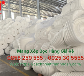 Mút Xốp Pe Foam Đóng Gói Tại Bắc Ninh - Mút Xốp Bắc Ninh