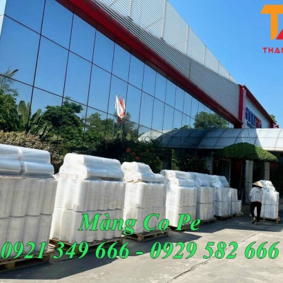 Công Ty Sản Xuất Màng Pe Tại Bình Dương