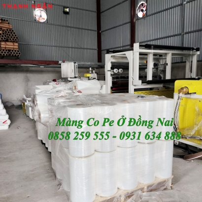 Nhà Máy Sản Xuất Màng Pe Tại Biên Hòa, Đồng Nai