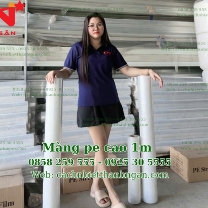 MÀNG PE KHỔ LỚN 1M TẠI BÌNH DƯƠNG