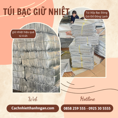 Tìm Mua Túi Bạc Giữ Nhiệt Giá Rẻ Tại Bình Dương