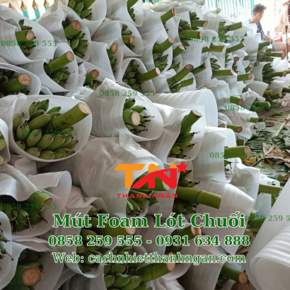 Mút Xốp Quấn Chuối Giá Rẻ Tại Đồng Nai