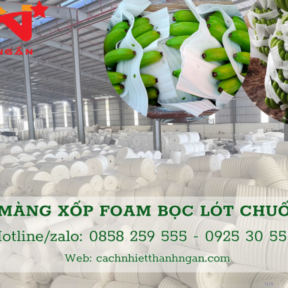 Mút Xốp Lót Trái Cây Giá Rẻ Tại Đồng Nai - Xốp Foam Giải Pháp Bọc Lót Trái Cây Hiệu Quả