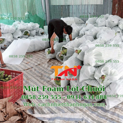 Mút Xốp Quấn Chuối Giá Rẻ Tại Đồng Nai