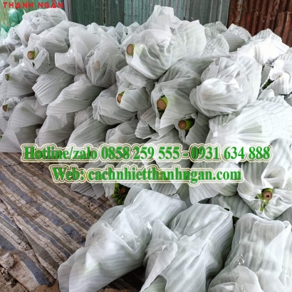 Màng Xốp Foam Lót Chuối Tại Định Quán, Đồng Nai