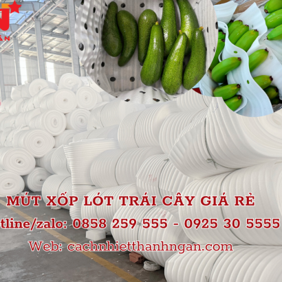 Mút Xốp Lót Trái Cây Giá Rẻ Tại Đồng Nai - Xốp Foam Giải Pháp Bọc Lót Trái Cây Hiệu Quả