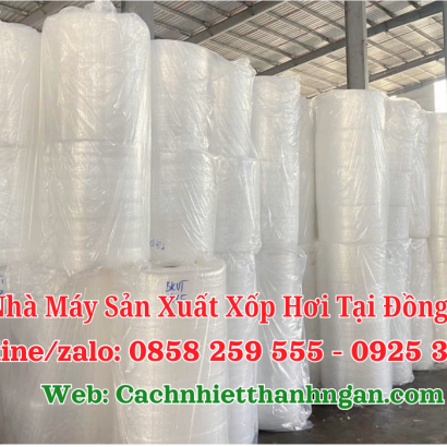 Nhà Máy Sản Xuất Xốp Hơi Đồng Nai Giá Sỉ Uy Tín – Mút Xốp Thanh Ngân