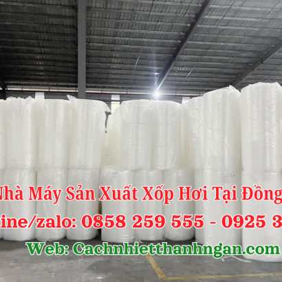 Nhà Máy Sản Xuất Xốp Hơi Đồng Nai Giá Sỉ Uy Tín – Mút Xốp Thanh Ngân