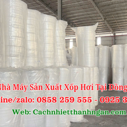 Nhà Máy Sản Xuất Xốp Hơi Đồng Nai Giá Sỉ Uy Tín – Mút Xốp Thanh Ngân