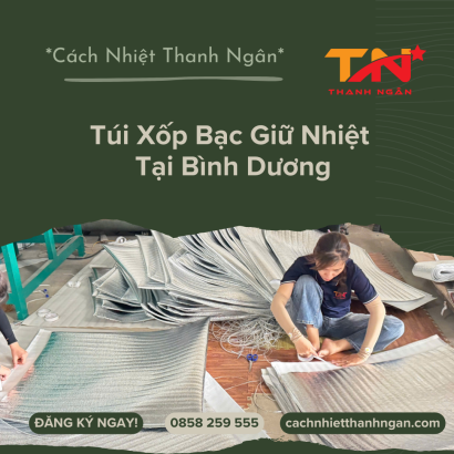 Tìm Mua Túi Bạc Giữ Nhiệt Giá Rẻ Tại Bình Dương