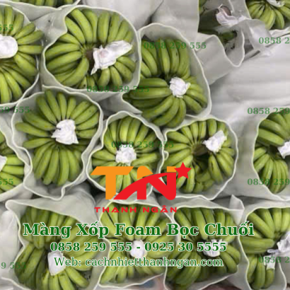 Tấm Xốp Foam Cắt Sẵn Chèn Lót Chuối Tại Đồng Nai