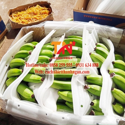 Tấm Xốp Foam Cắt Sẵn Chèn Lót Chuối Tại Đồng Nai