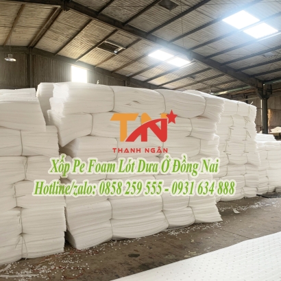 Tấm Xốp Foam Cắt Sẵn Chèn Lót Chuối Tại Đồng Nai